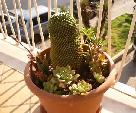 Anthea Bb Panzió 4*